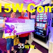 Premium Interface 55ww